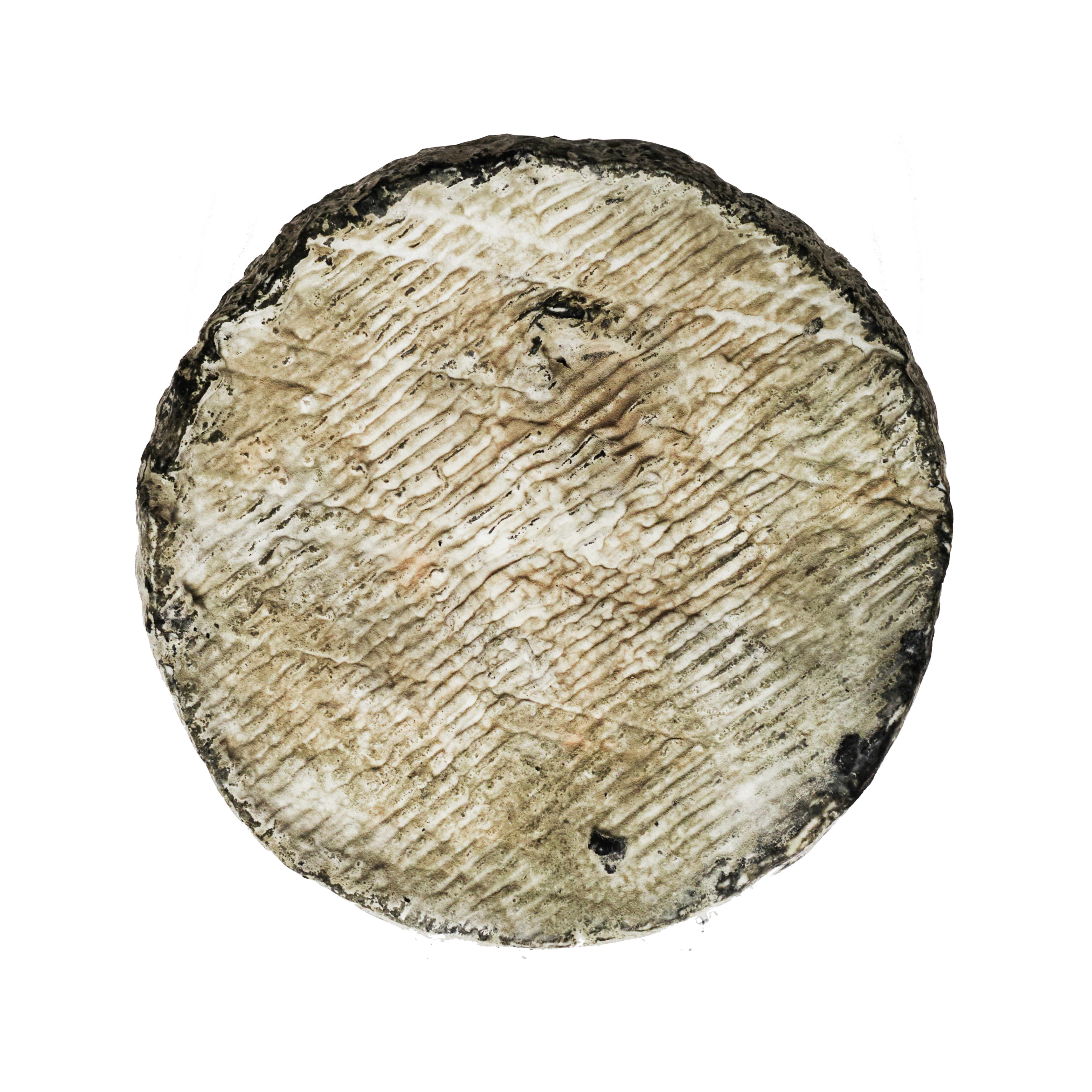 Persillé de Chèvre 1,3 kg